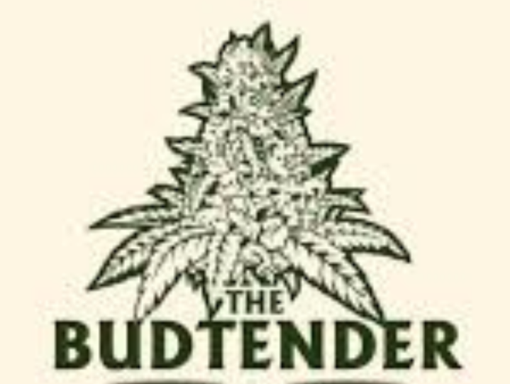 How to Become a Budtender in Colorado